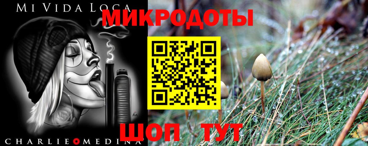 Галлюциногенные грибы мухоморы Сухой Лог